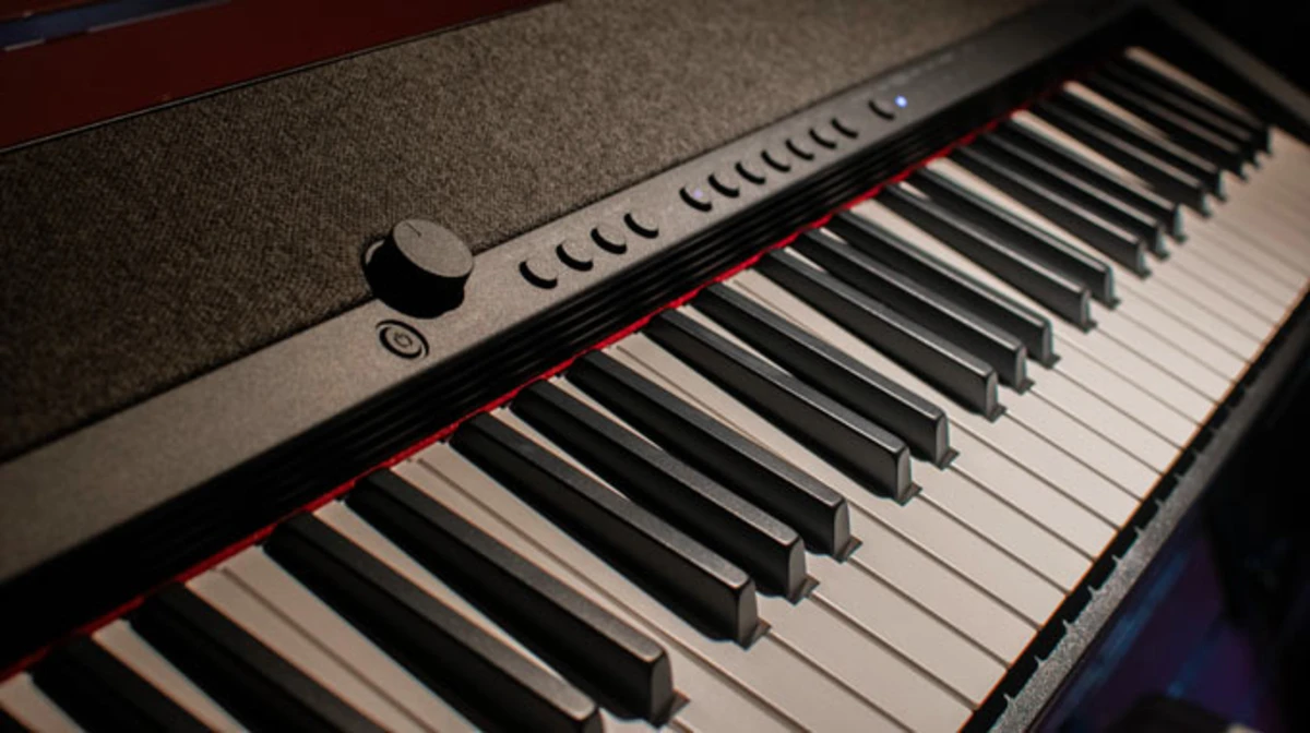 nut am organ casio ct-s1