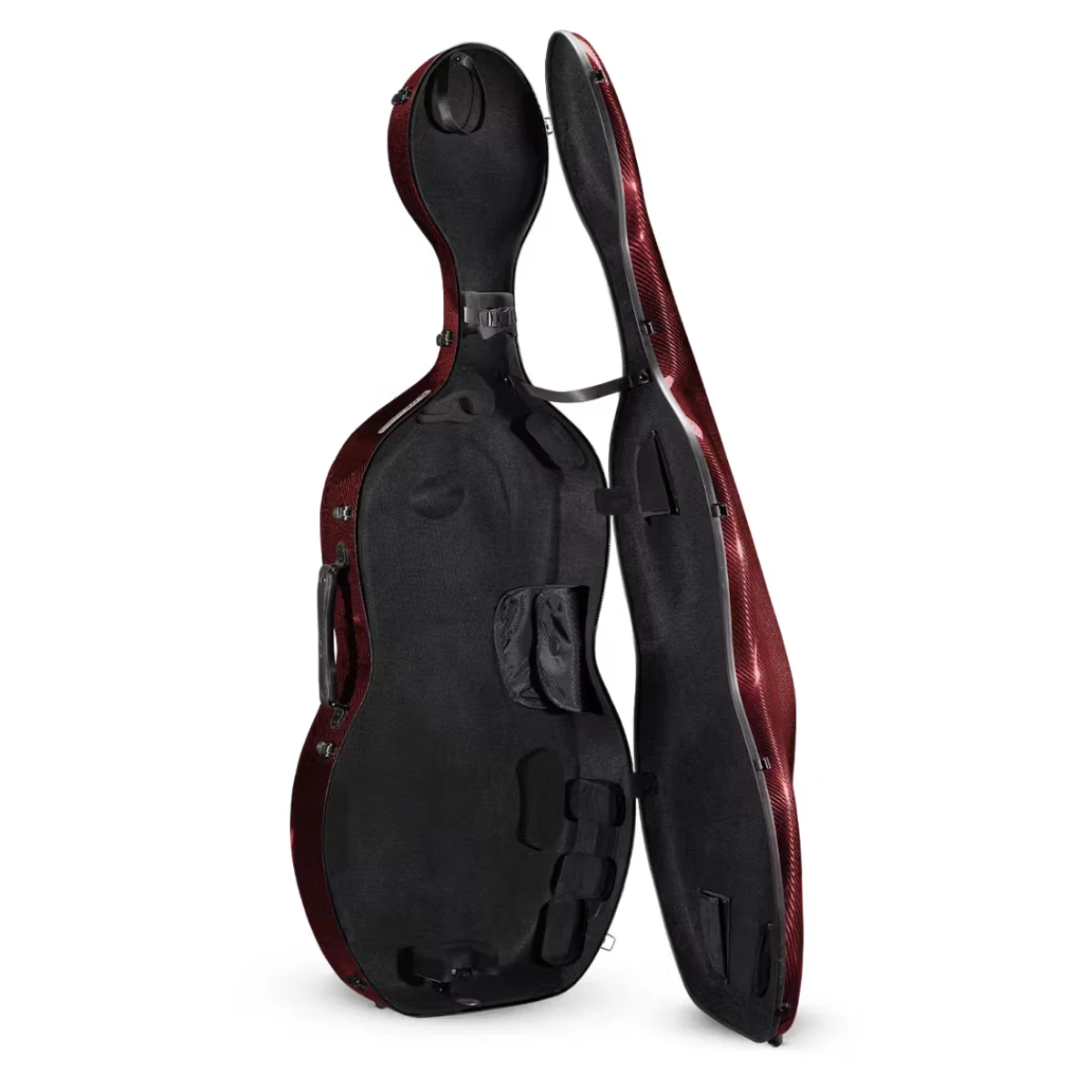 hop cello eastman musilia cacls3 mau do