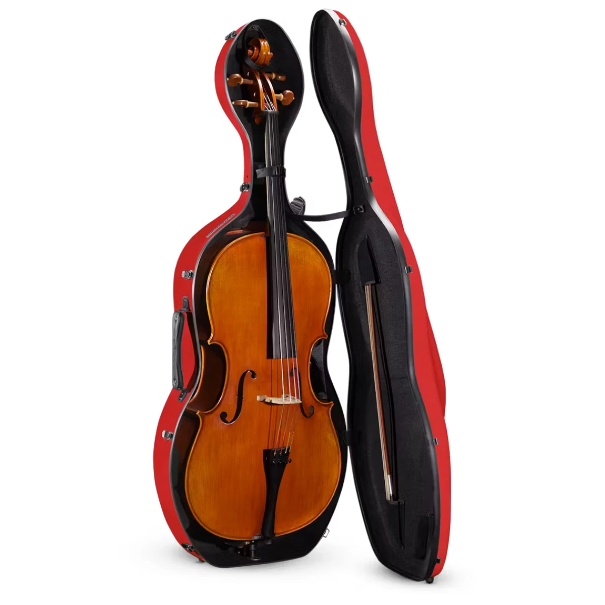 hop dan cello eastman musilia cacls1 mau do