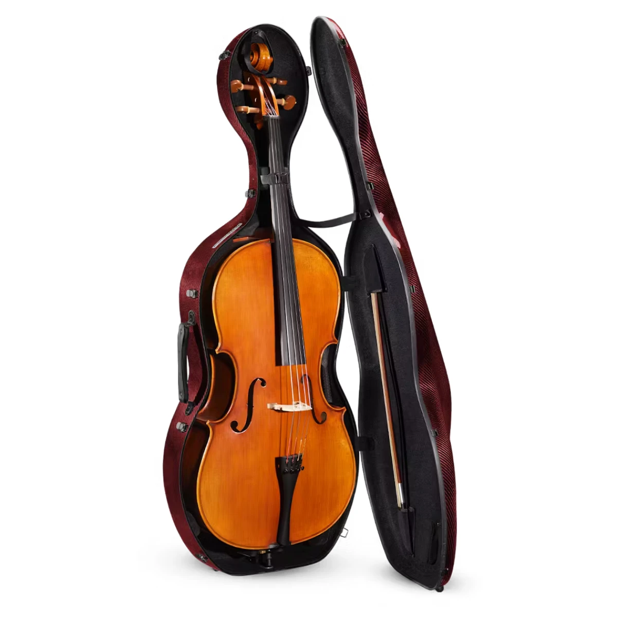 hop dung cello eastman musilia cacls3 mau do