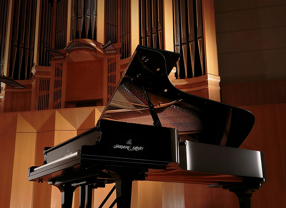 am sac grand piano kawai dg30