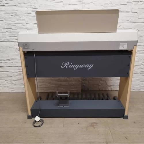 mat sau dan organ nha tho allen ringway rs 760