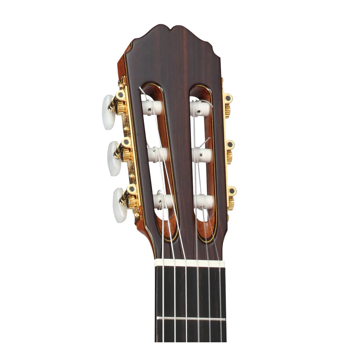 dau dan guitar takamine eh5c