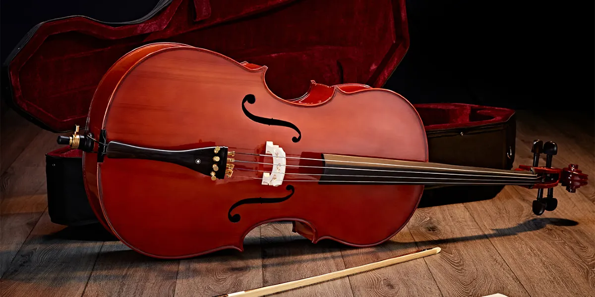 dan cello hien dai