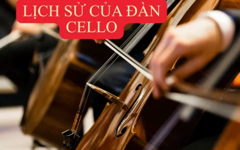 Lịch sử của đàn Cello từ thế kỷ XVI đến ngày nay