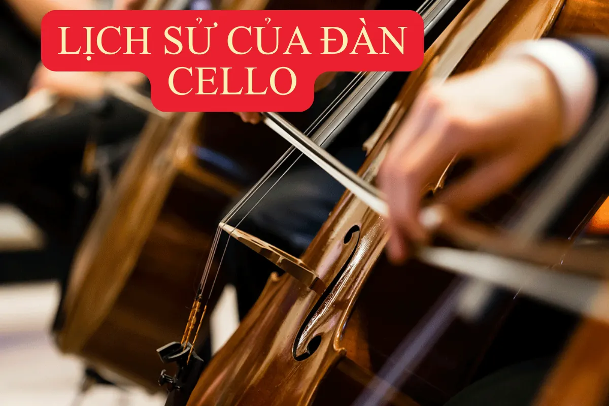 Lịch sử của đàn Cello từ thế kỷ XVI đến ngày nay