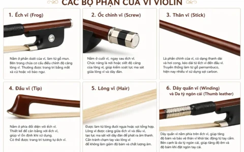Tổng hợp các bộ phận của vĩ đàn violin đầy đủ và chi tiết