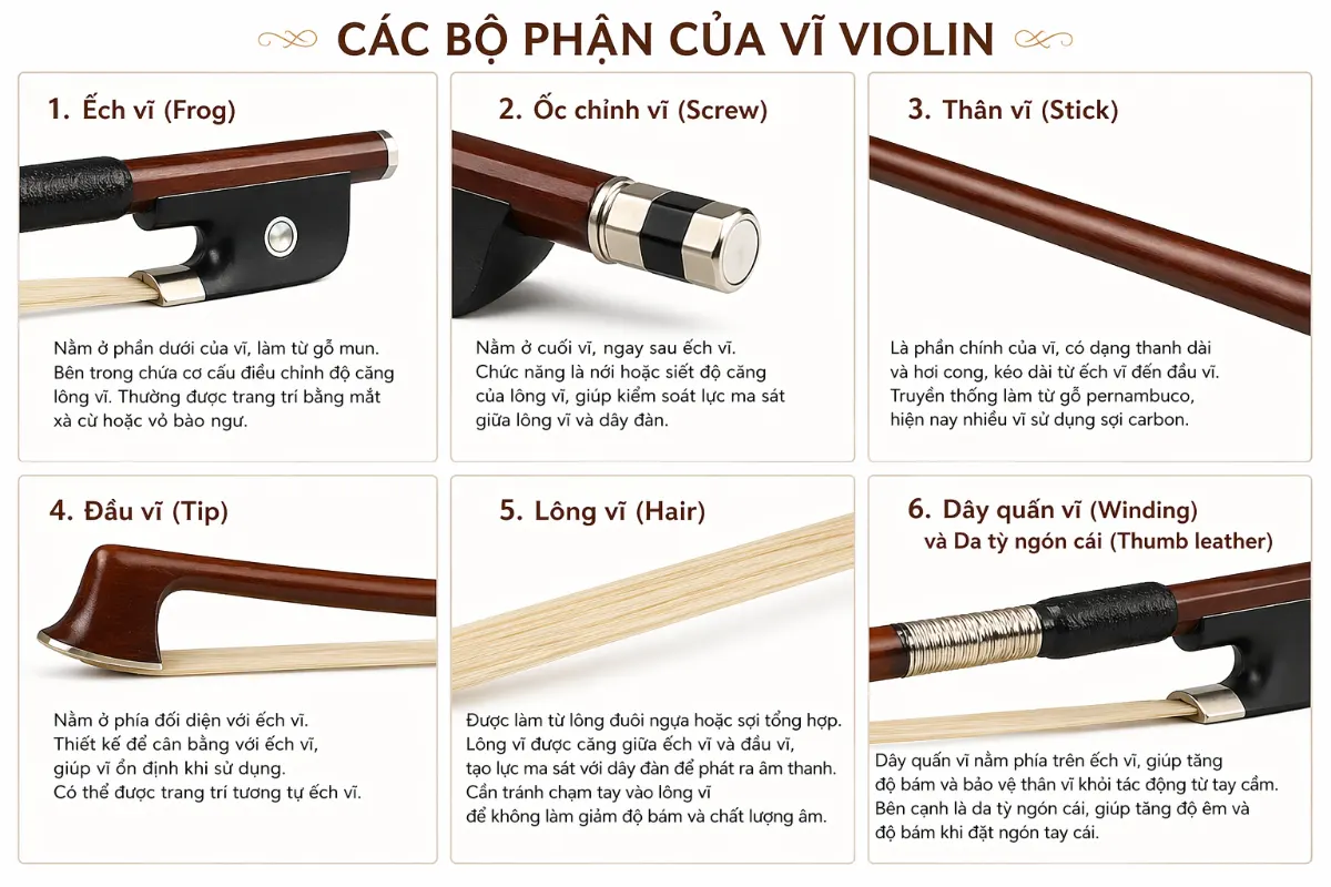 Tổng hợp các bộ phận của vĩ đàn violin đầy đủ và chi tiết