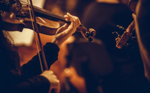Các chất liệu sử dụng trong vĩ đàn violin