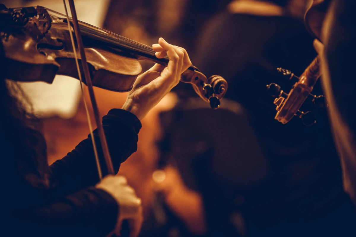 Các chất liệu sử dụng trong vĩ đàn violin