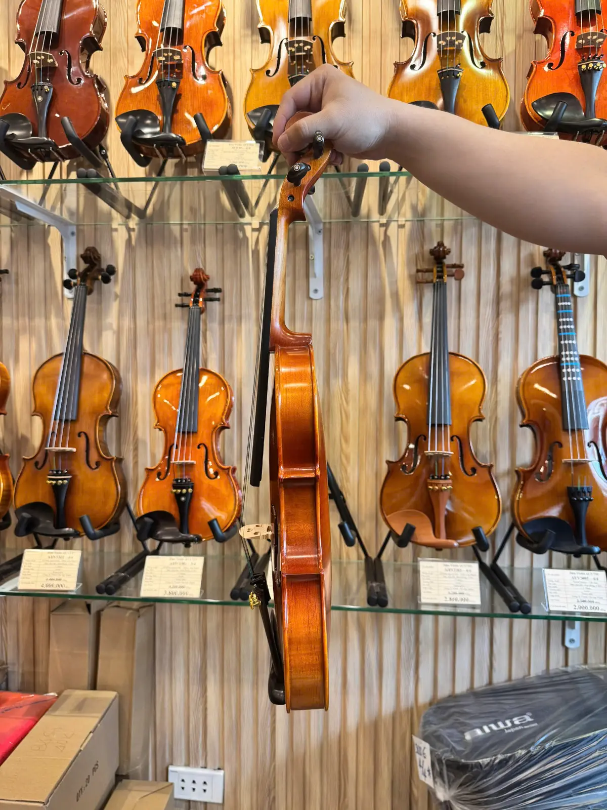 dan violin nang bao nhieu kg