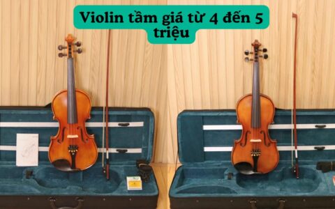 dan violin tam gia tu 4 den 5 trieu
