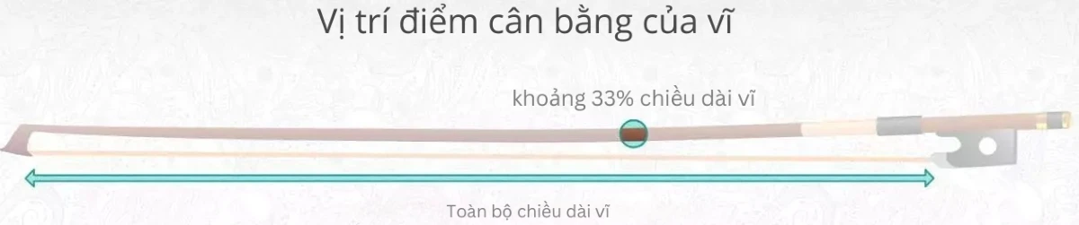 diem can bang cua cay vi
