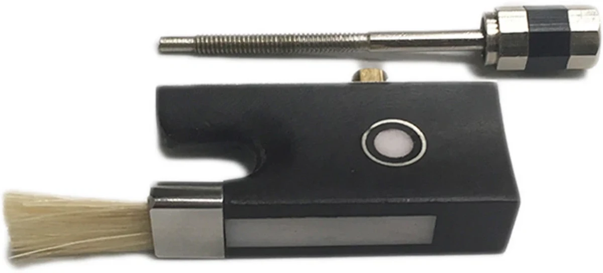 ech vi violin