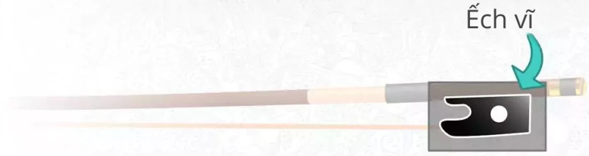 ech vi