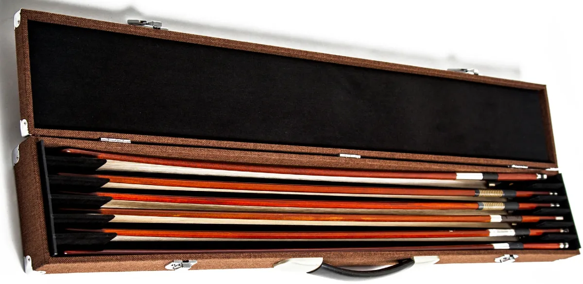 hop dung vi violin