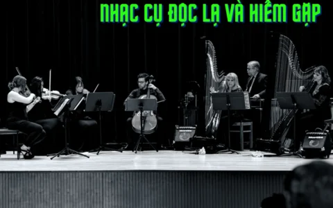 9 nhạc cụ kỳ lạ và hiếm gặp trong âm nhạc cổ điển