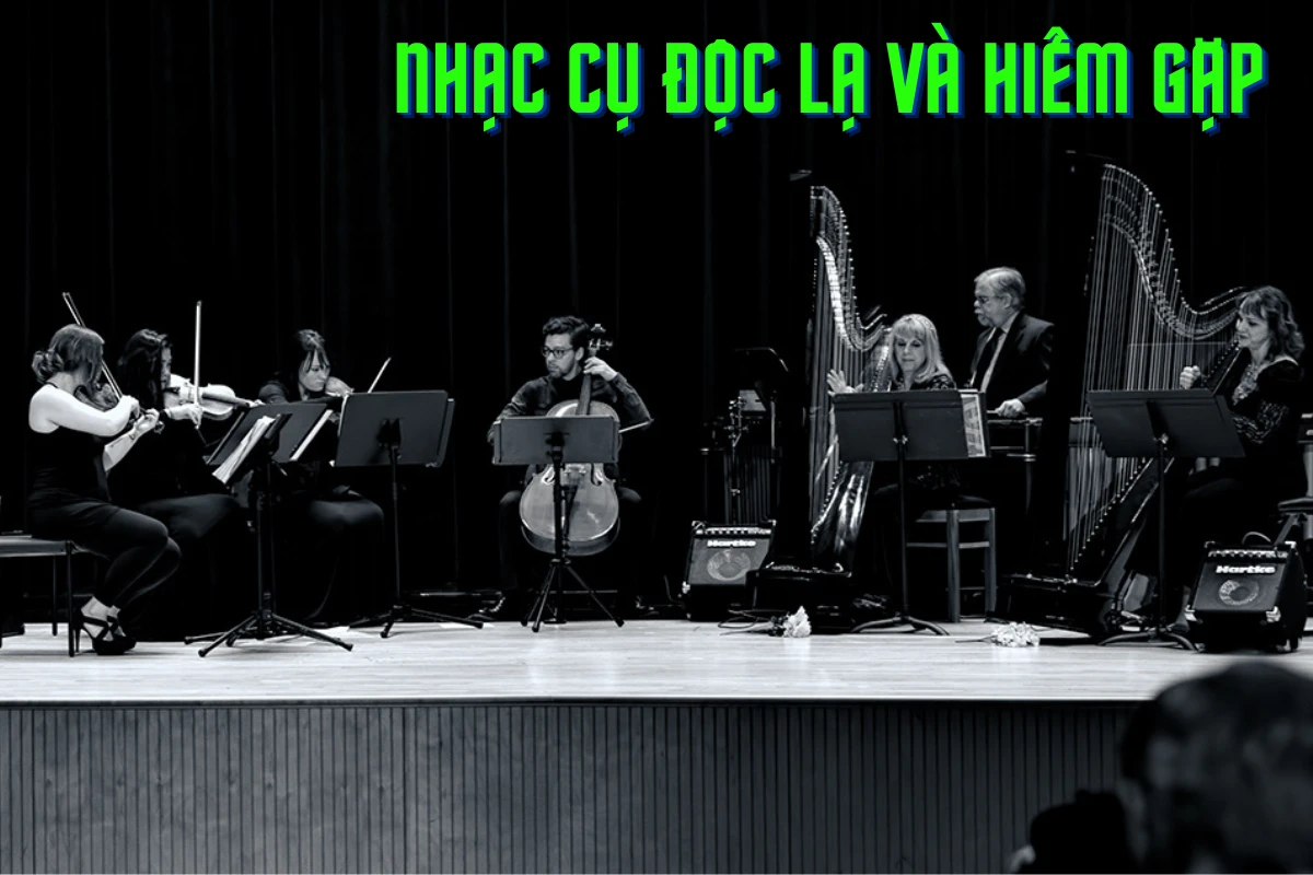 9 nhạc cụ kỳ lạ và hiếm gặp trong âm nhạc cổ điển