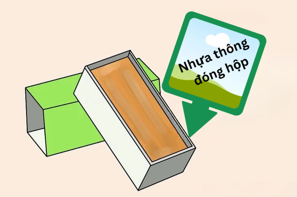 nhua thong dong hop