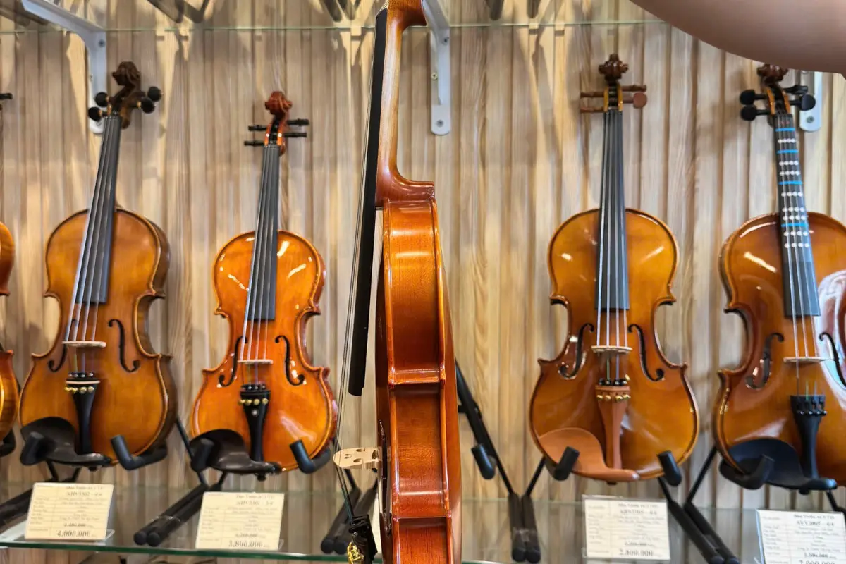 Đàn violin nặng bao nhiêu kg? Những điều bạn cần biết