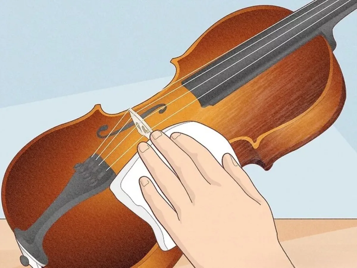 lau mat dan violin