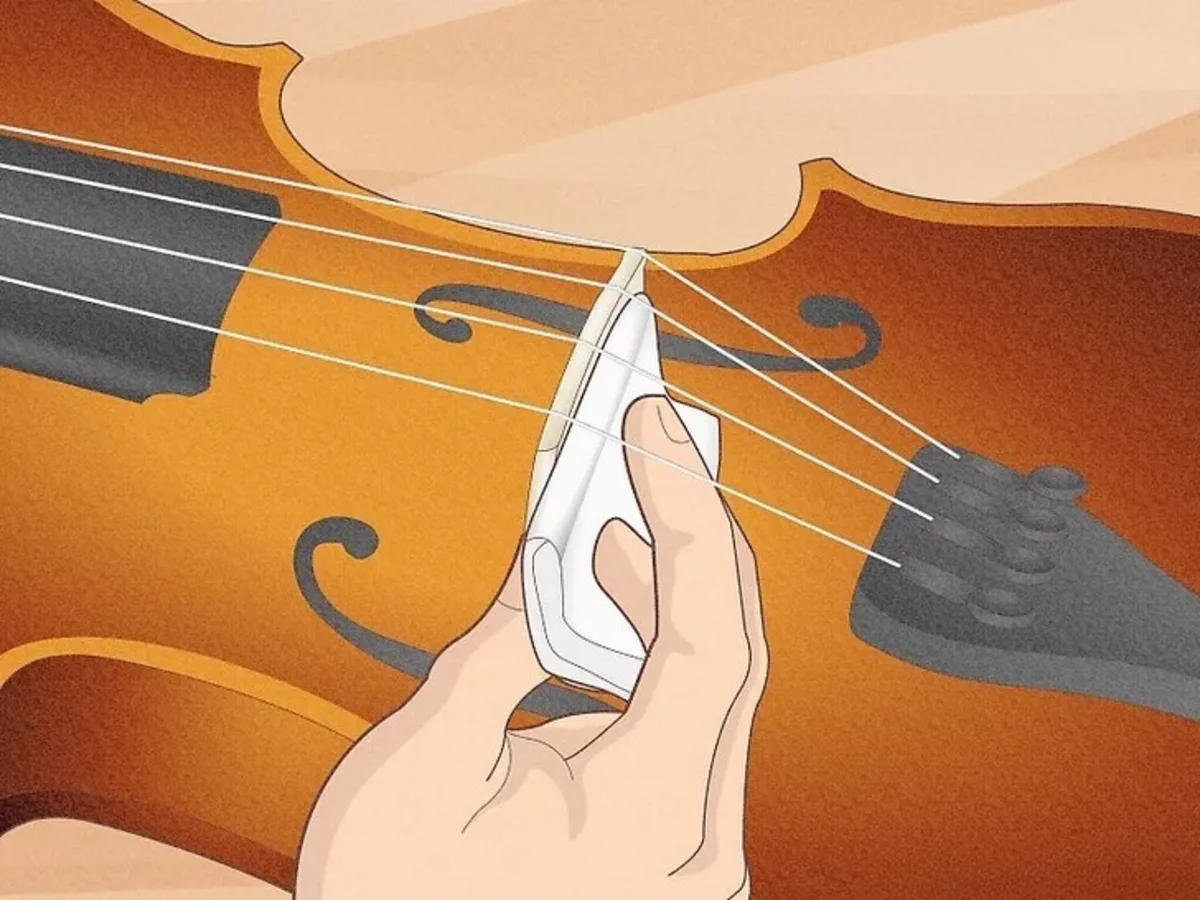 ve sinh ngua dan violin