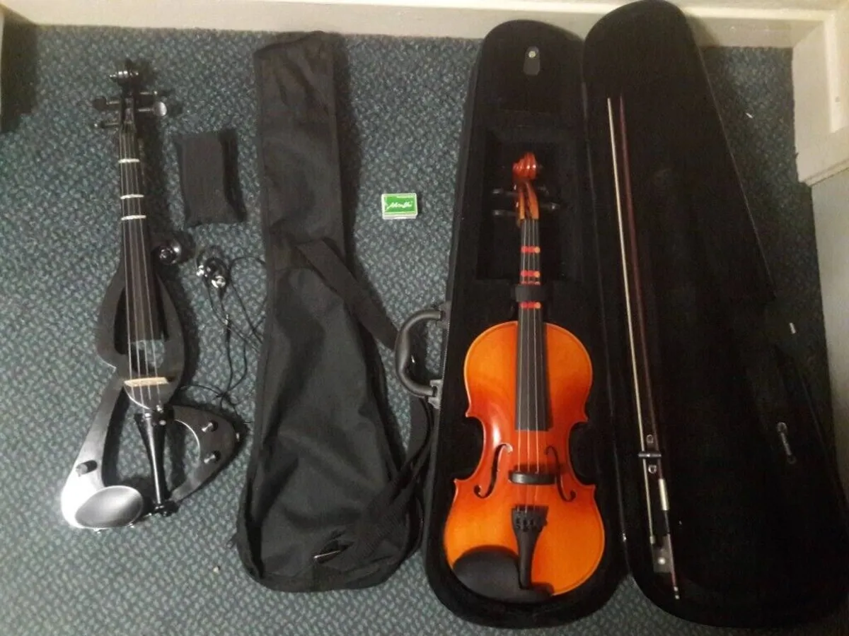 dan violin acoustic va dan violin dien