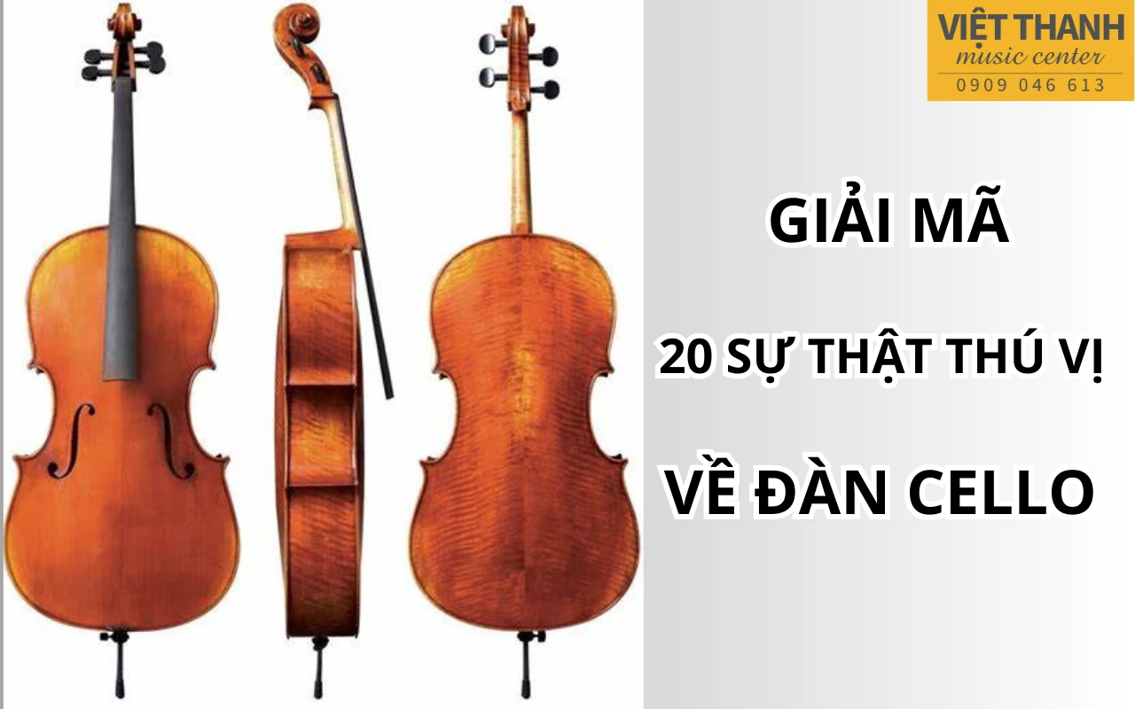 Giải mã 20 câu hỏi thú vị về đàn cello