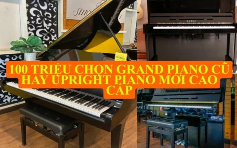 100 triệu chọn Grand Piano cũ hay Upright Piano mới cao cấp