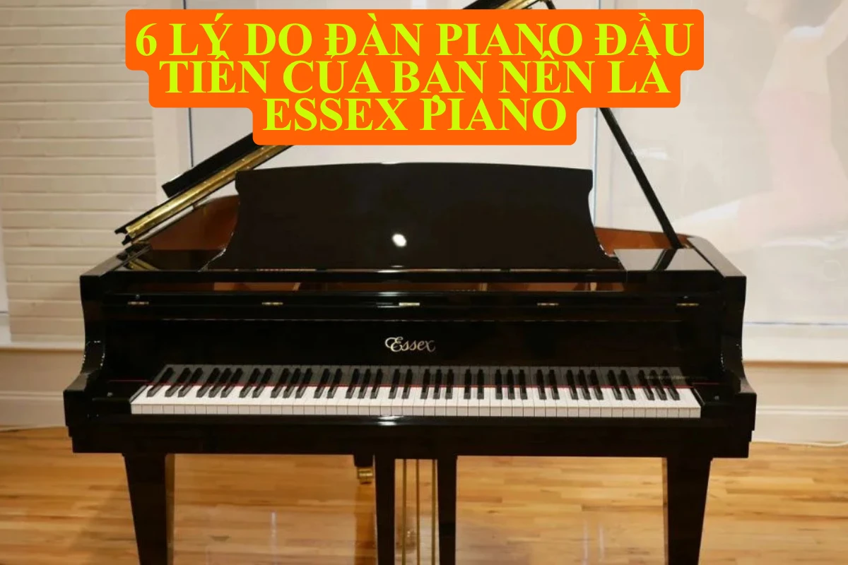 6 lý do đàn piano đầu tiên của bạn nên là essex piano