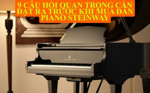 9 câu hỏi quan trọng cần đặt ra trước khi mua đàn piano Steinway