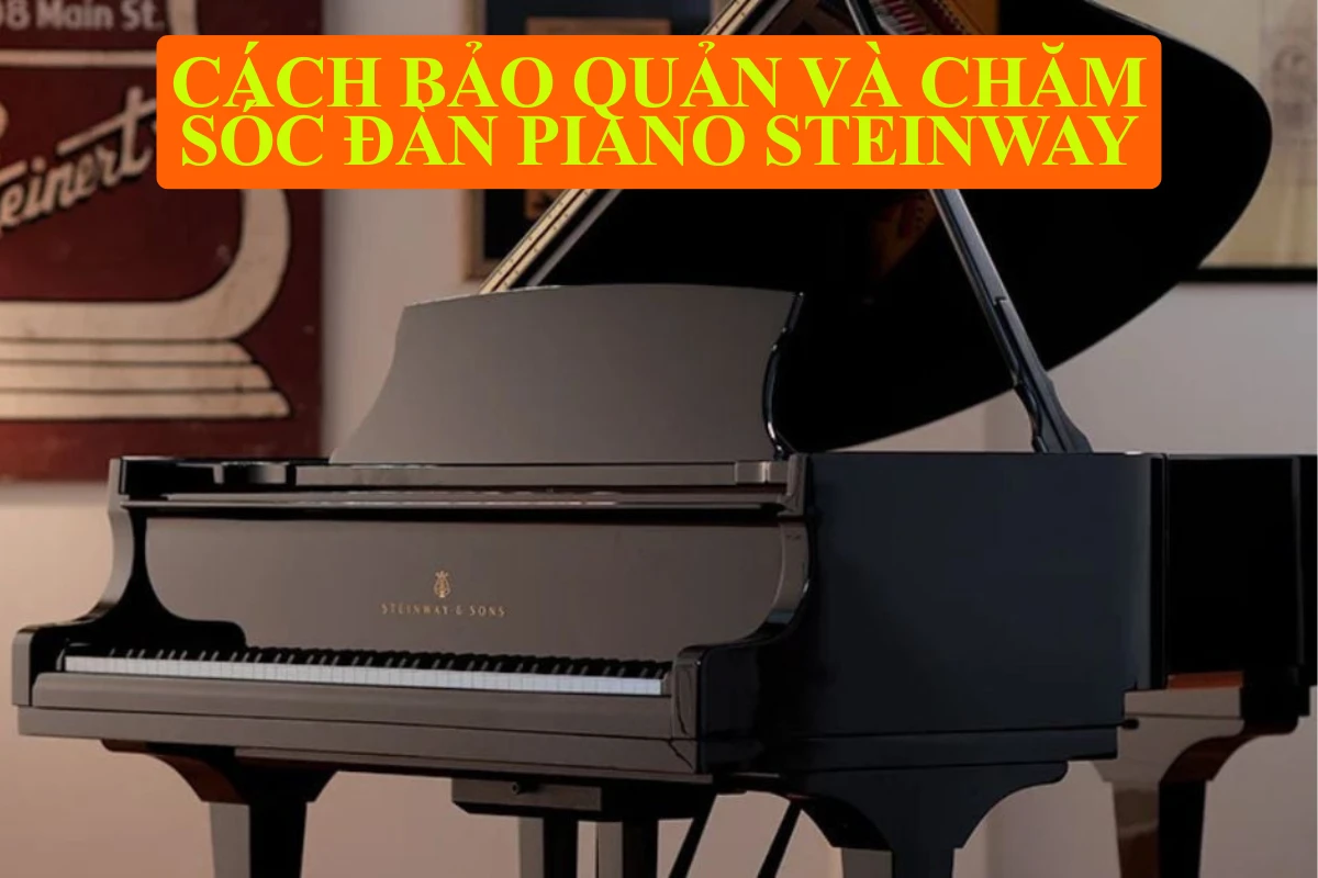 Cách bảo quản và chăm sóc đàn piano Steinway mới của bạn