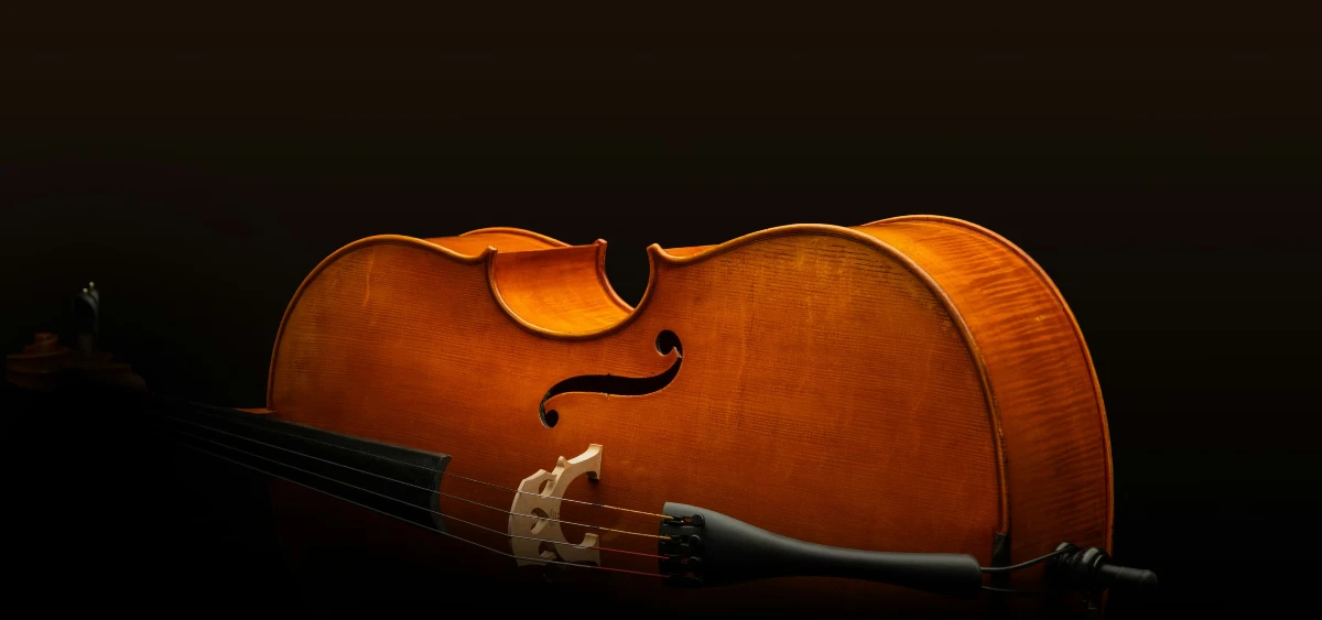 cello eastman dong bieu dien