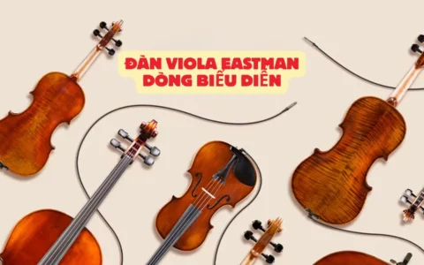 dan viola eastman dong bieu dien