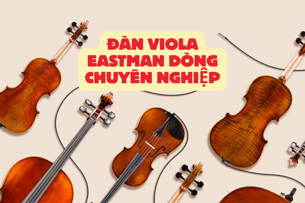 Đàn Viola Eastman dòng chuyên nghiệp có âm thanh độc bản dành cho nghệ sĩ đẳng cấp