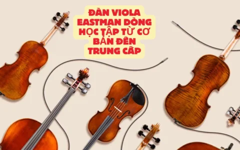 dan viola eastman dong hoc tap tu co ban den trung cap
