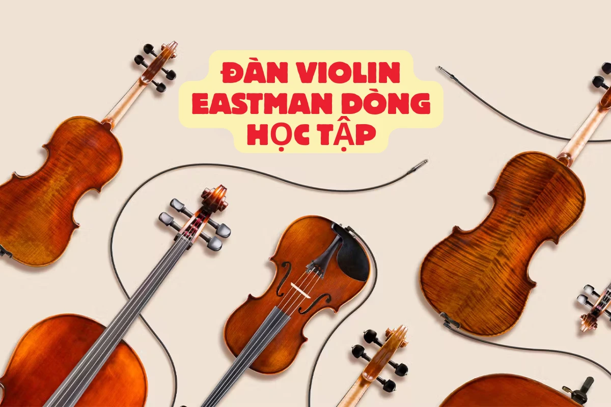 Đàn violin Eastman dòng học tập từ cơ bản đến trung cấp