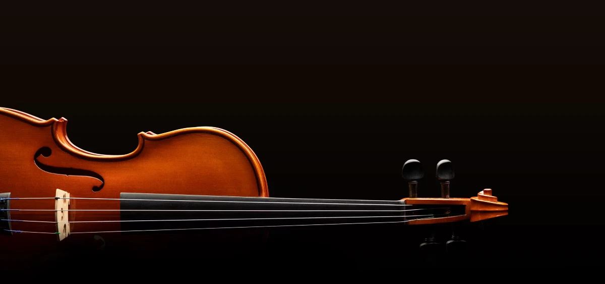 dan violin eastman dong hoc tap