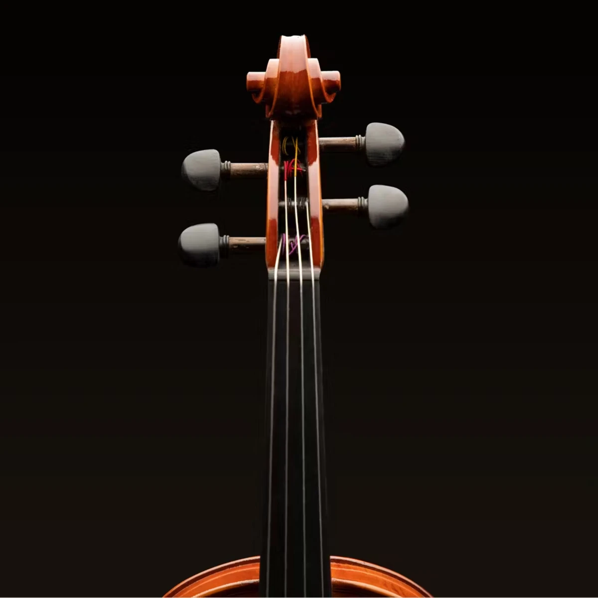 truc len day dan violin eastman dong hoc tap