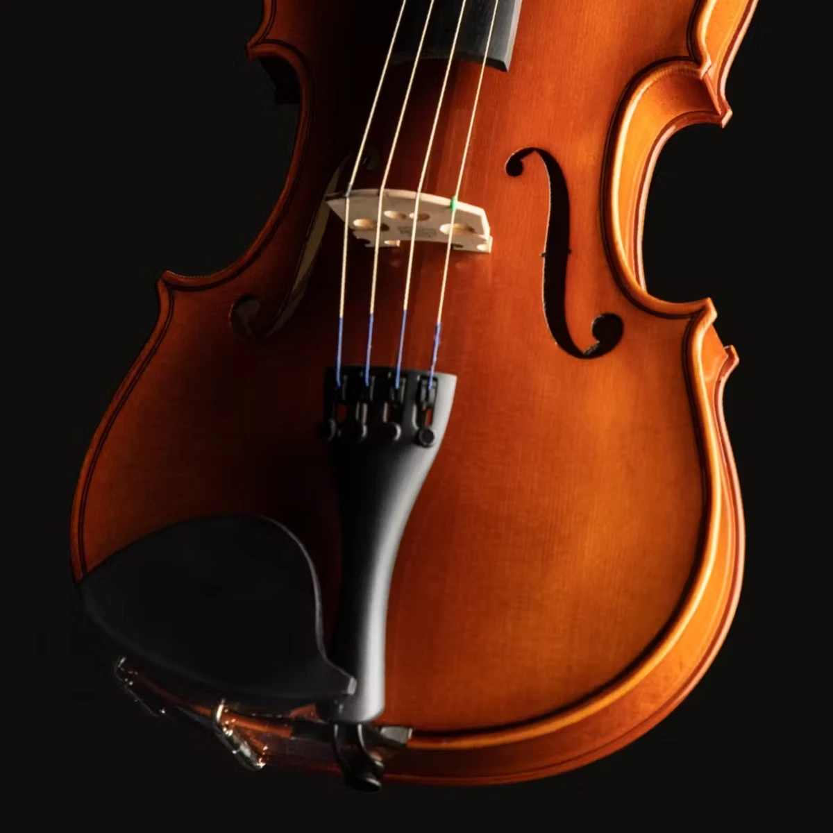 tua cam kieu dresden cua dan violin eastman dong hoc tap