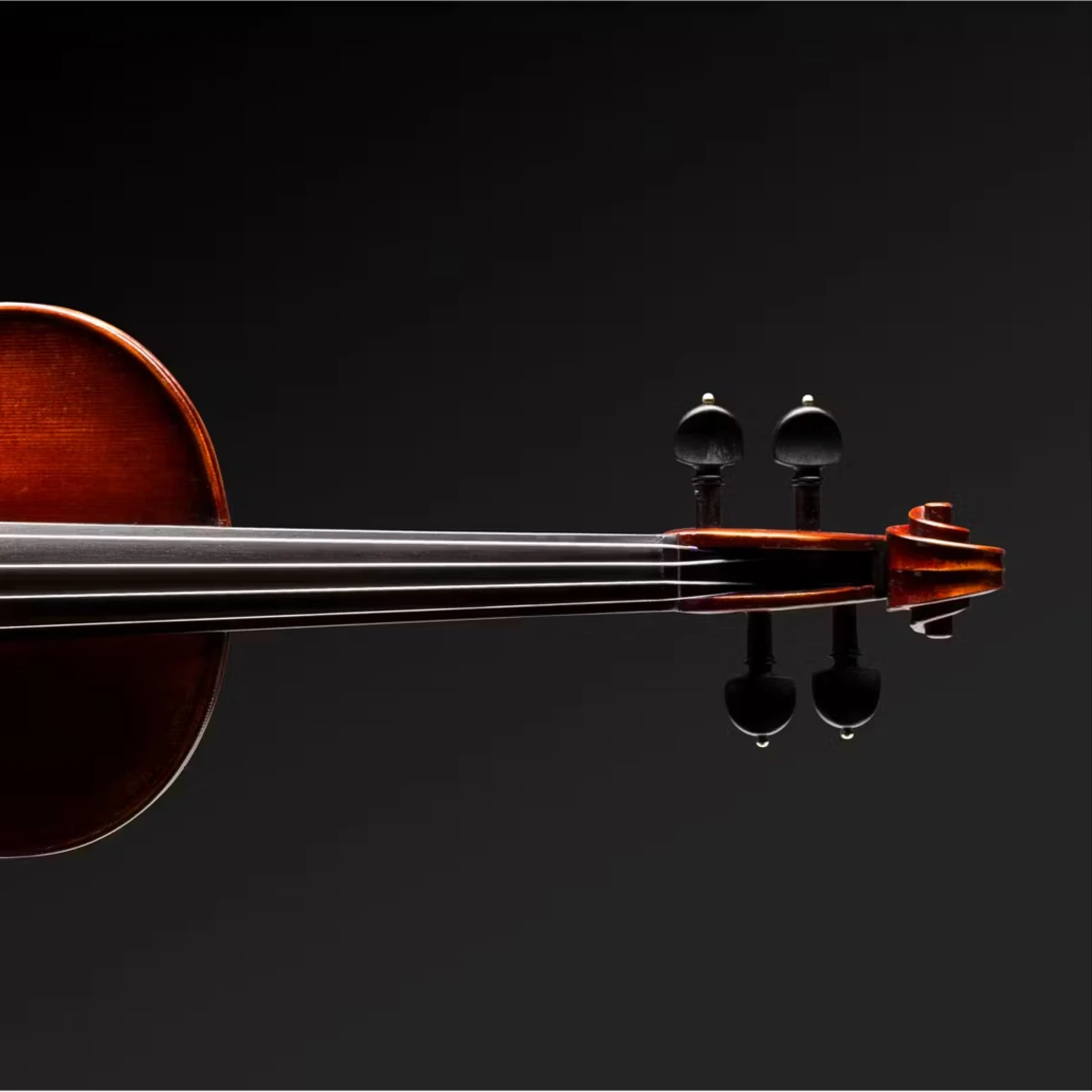 violin eastman bieu dien danh cho nguoi choi dang tien bo
