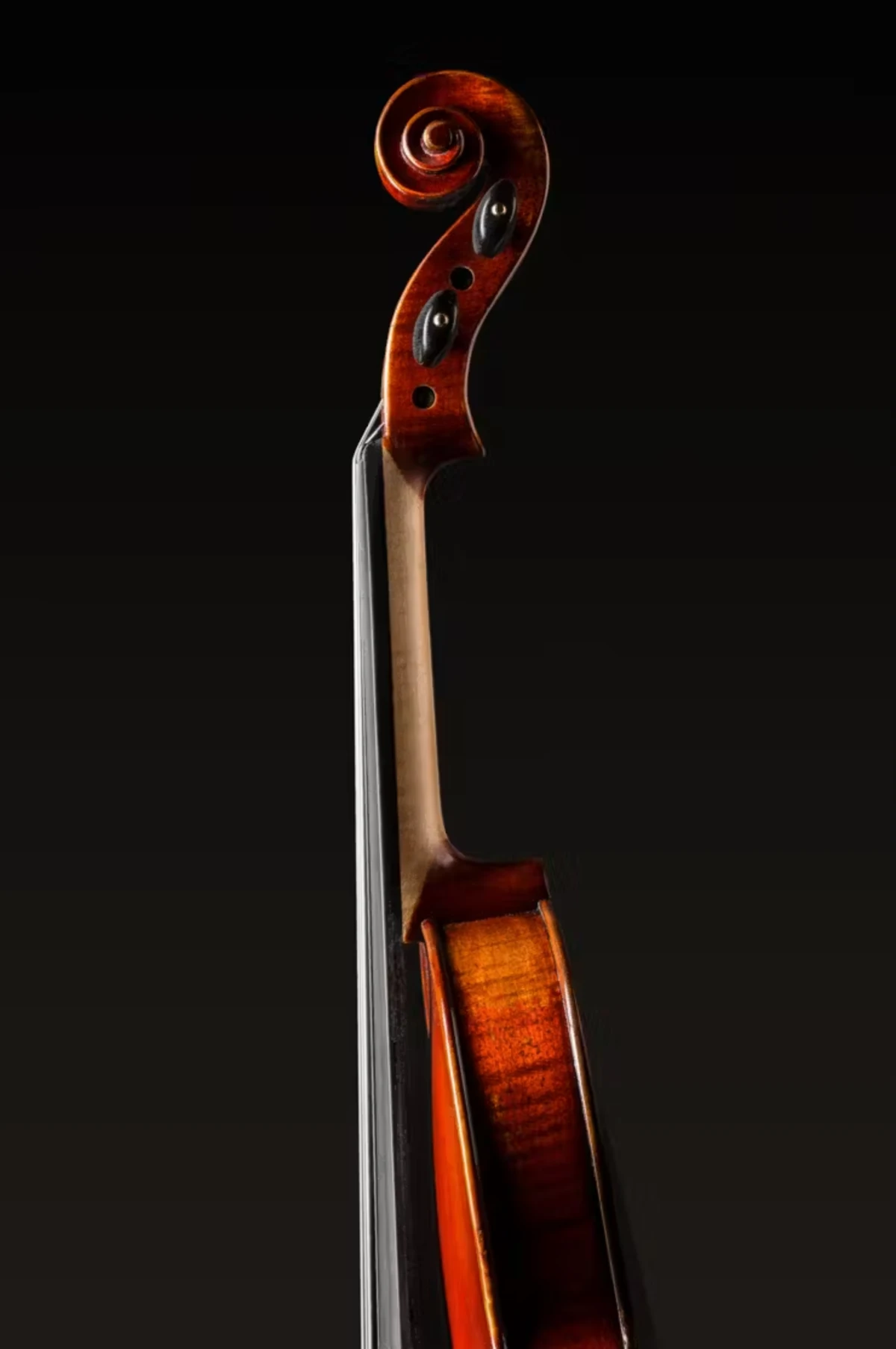 violin eastman danh cho bieu dien lam tu vat lieu cao cap
