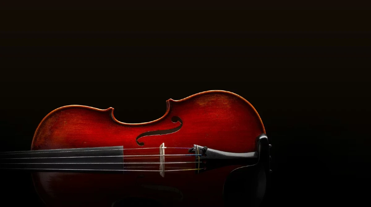 violin eastman danh cho bieu dien