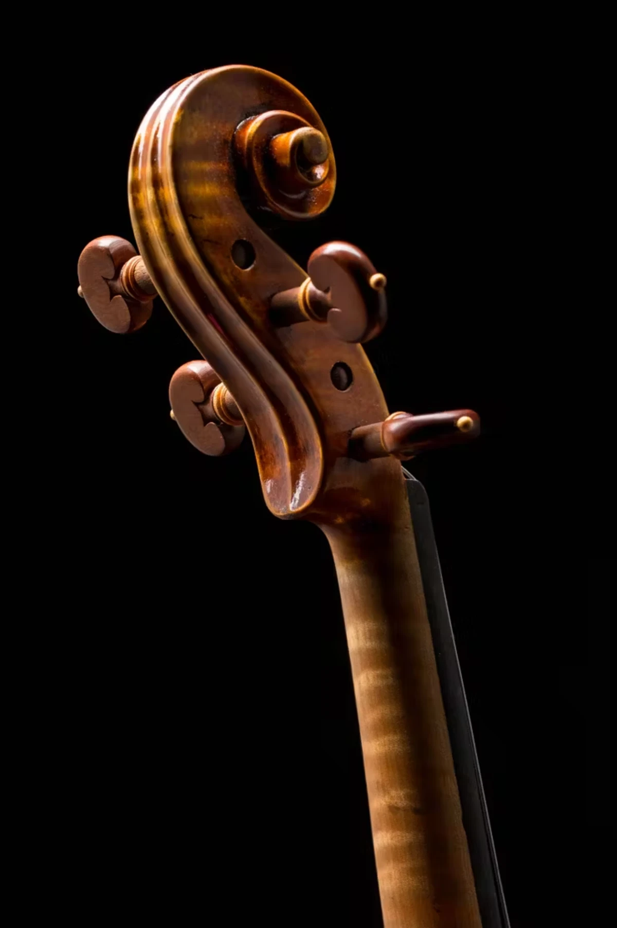 violin eastman dong chuyen nghiep go tuyen chon tu chau au