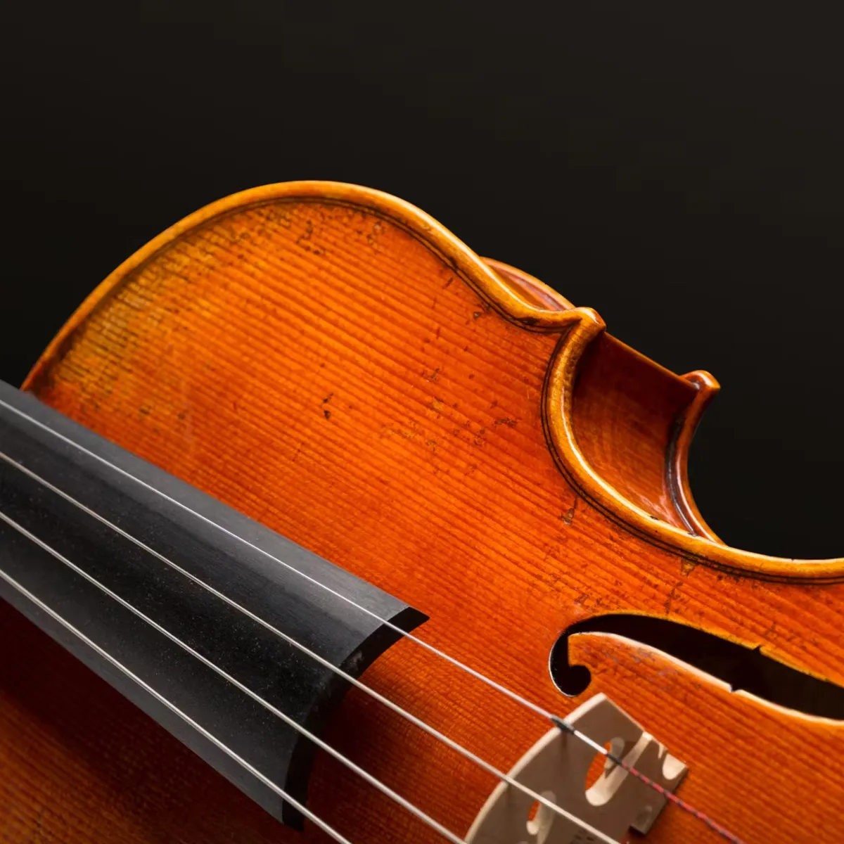 violin eastman dong chuyen nghiep nguoi ban dong hanh cua nghe si doc tau