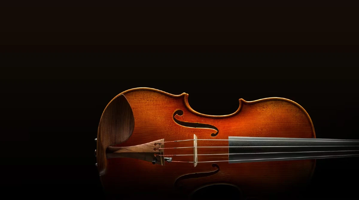 violin eastman dong chuyen nghiep