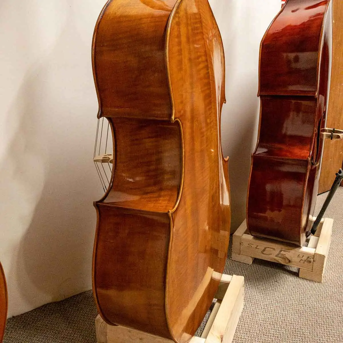 dan double bass chuyen nghiep tuyet tac cua thoi hien dai