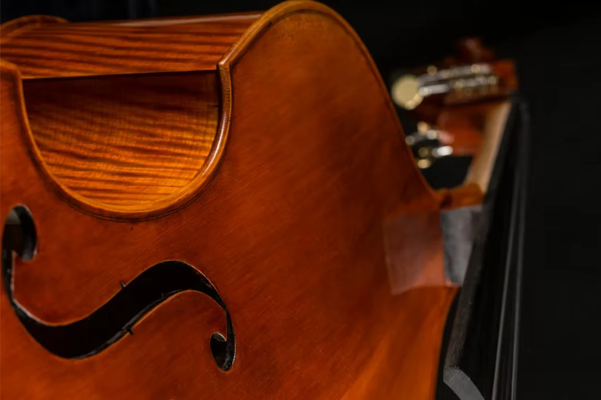 dan double bass eastman dong chuyen nghiep cau truc manh me am thanh can bang hoan hao