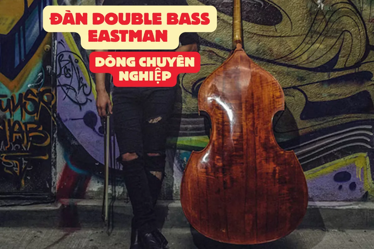 Đàn double bass Eastman dòng chuyên nghiệp, tuyệt tác hiện đại dành cho nghệ sĩ biểu diễn