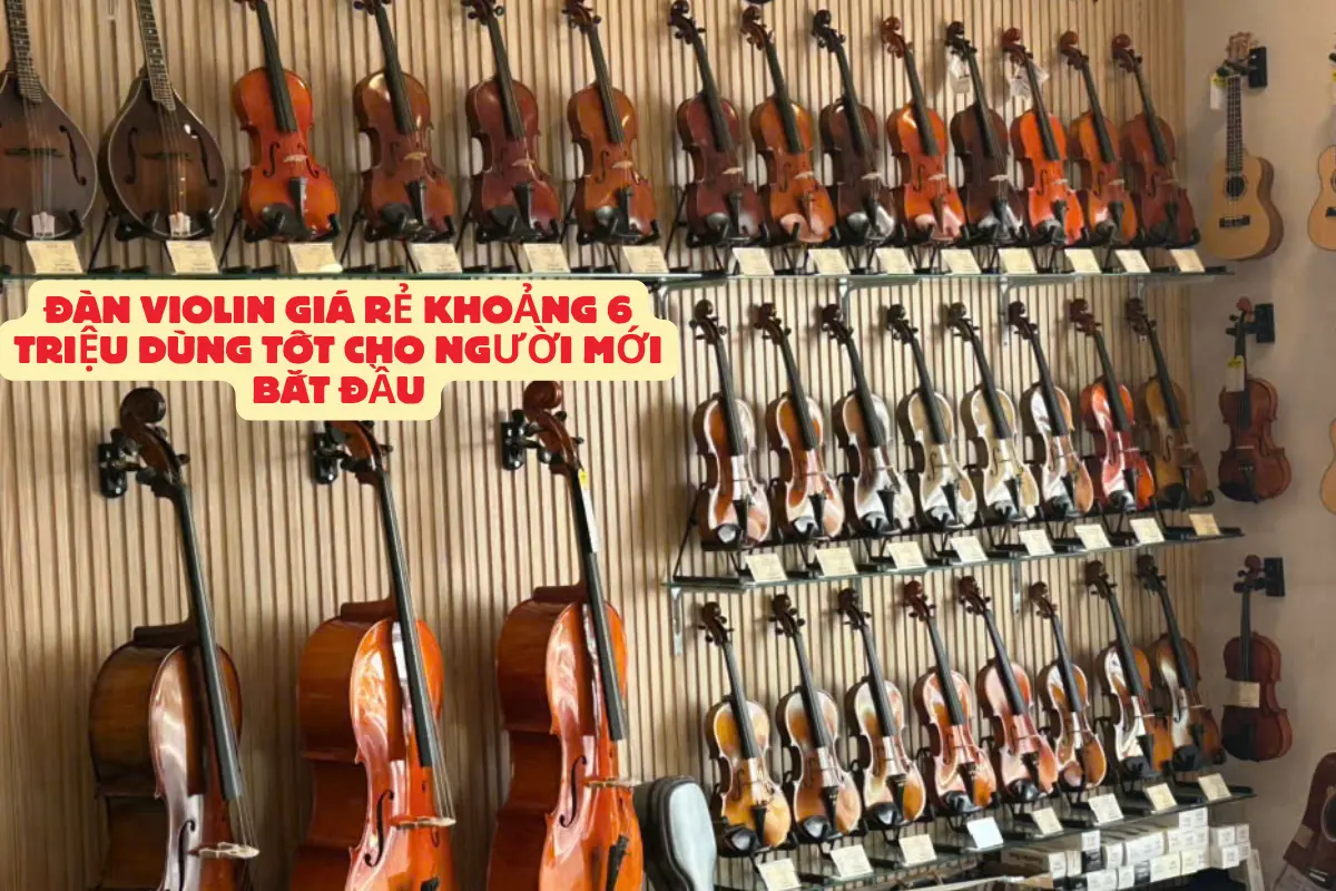 Đàn violin giá rẻ khoảng 6 triệu dùng tốt cho người mới bắt đầu